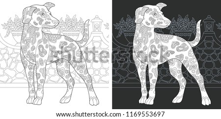 Coloring Page. Coloring Book. Colouring picture with Dalmatian Dog drawn in zentangle style. Antistress freehand sketch drawing. Vector illustration.