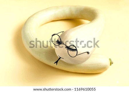 Decorative pumpkin in form of snake in glasses. Creative idea, imagination and fantasy. Minimal style