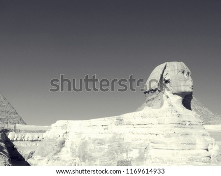 Egyptian sphinx in black and white filter