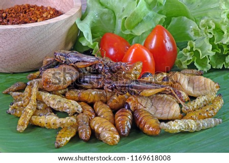 Mixed crispy salted and spicy insects. Thailand street foods. Entomophagy : Edible insects, other natural sources of nutrients. Awesome exotic food / fusion food.