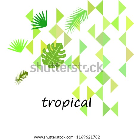 tropical summer tropical plant vector background