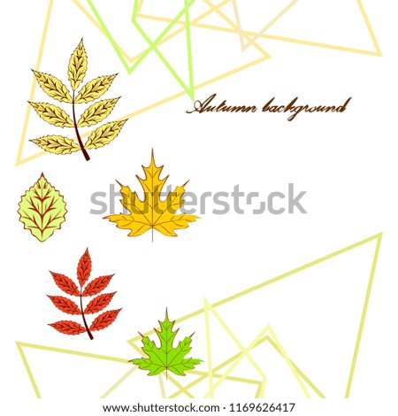 deciduous autumn vector background