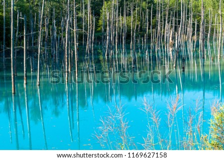 beautiful blue pond in bieishirogane erea
