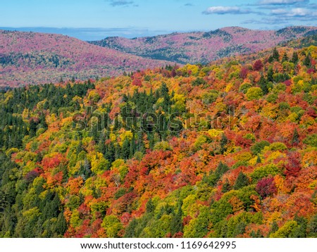 This is a picture of autumn leaves seen from the National Park "Mont-Tremblant" in Quebec, Canada. This is a picture taken from the observation stand of the trail course # 5 "La Corniche". 