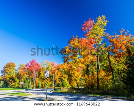 This is a picture of autumn leaves at Mont-Tremblant in the Laurentian plateau in Quebec, Canada. The autumn leaves of the trees by the side of the road are splendid.