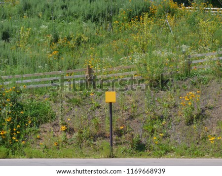 The Yellow Post