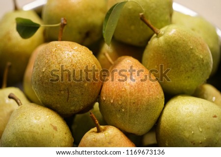 Close up view of fresh organic Pears that were just harvested. 