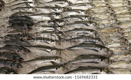 Mackerel fish in supermarket