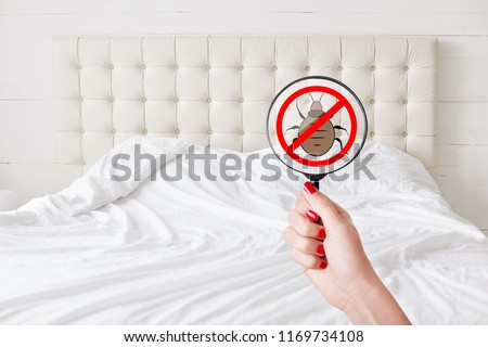 Cleaness and purity concept. Unrecognizable female with red manicure hold lens with stop insects sign detects bed bugs. No bugs there. Checking sanitation conditions in hotel room