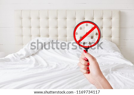 Image of unrecognizable female checks bedroom on purity, demands complete cleanliness, no bugs and parasites. Stop sign with insects against bed background