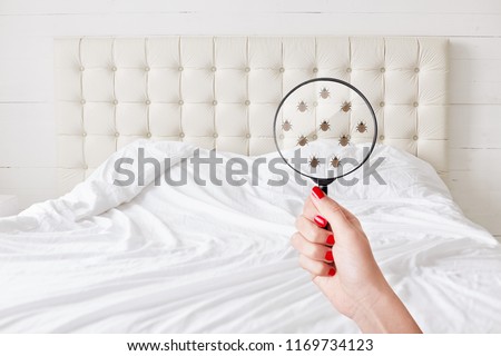 Insanitation concept. Woman holds lens, shows there are bugs in bedclothes, detects bad insects demonstrates dirty conditions. Dirtiness, unhygienic conditions and uncleanness