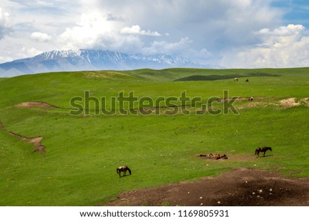 Summer trip to Kirgyzstan