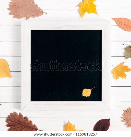 Autumn composition. Front view of an empty black board for writing with chalk. White rustic wooden background and colorful different autumn leaves. Flat lay, top view, copy space