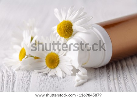 face cream or body cream with camomile flower, healthy cosmetics