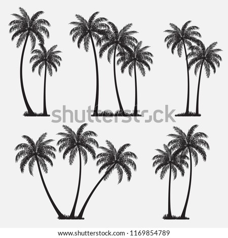 Set of palm trees, coconut trees, black silhouette isolated on white background. Vector illustration