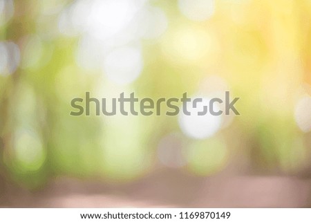 Abstract blur natural background with sunlight 