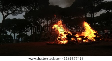 Huge campfire in forest - Salima, Aley, Chouf