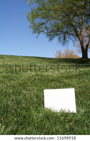 Open grassy field with blue sky and trees