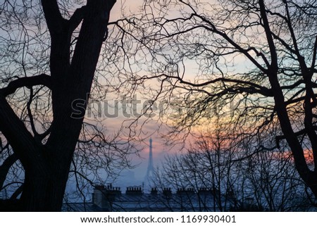 Beautiful view over Paris skyline and its  Eiffel Tower in background from Montmartre, trees, branches without leaves silhouettes under a pink, blue and yellow magical sunset of a winter day, France.