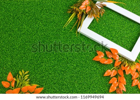 Autumn Leafs Green Grass Flat Lay