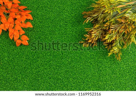 Autumn Leaves Green Background Flat Layout