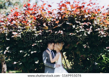 Walking newlyweds in nature. The groom kisses the bride.