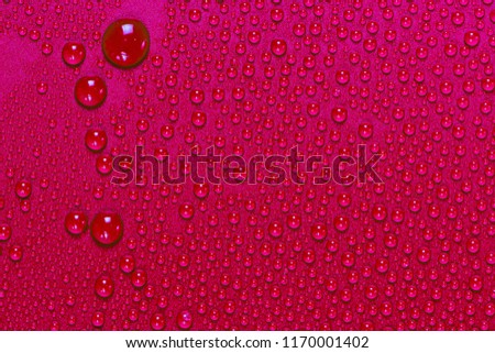 Close up water drops on dark red tone background. Abstarct pink wet texture with bubbles on window glass surface. Raindrop, Realistic pure water droplets condensed for creative banner design. black