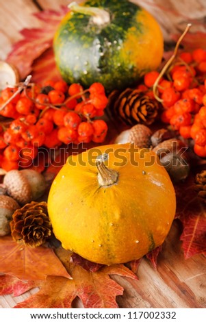 Harvested pumpkins with fall leaves
