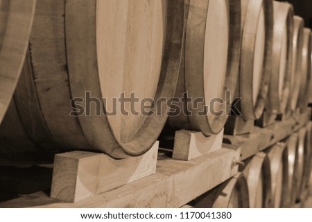 Wine barrels in wine-vaults in order.