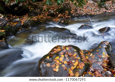 A fast flowing clear stream flows over smooth black boulders in autumn.