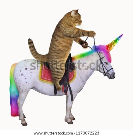 The cat is riding the real unicorn. White background.