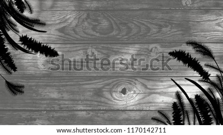 grass flower on vintage wood background