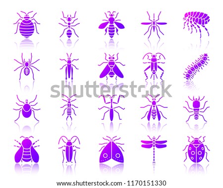 Danger Insect silhouette icons set with reflection. Color sign kit of bed bug. Beetle vector pictogram collection mite, wasp, gnat mosquito Gradient contour simple danger insect icon isolated on white