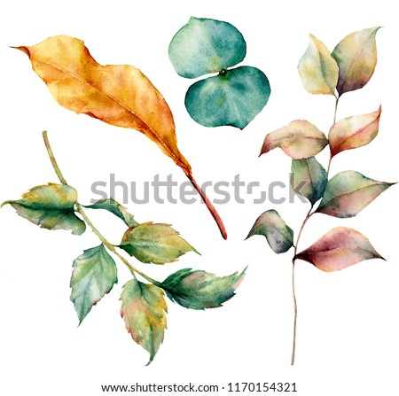 Watercolor set with autumn leaves and grass branch. Hand painted grass and dogrose branch, eucaliptus and yellow leaves isolated on white background. Illustration for design, print or background