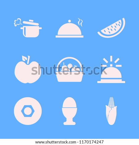 diet vector icons set. with proper meal, egg cup, corn and watermelon slice in set