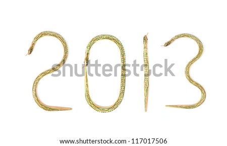 Year of the snake 2013 characteristic
