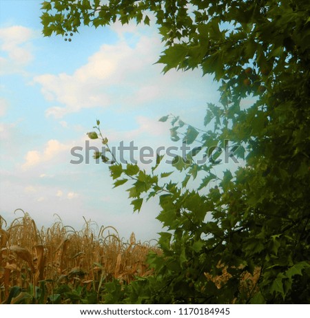 end of summer landscape with leaves, cornfield and sky