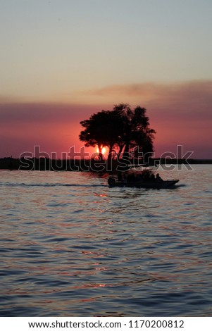 Romantic amazing sunset behind trees in a river in Botswana 