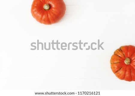 Autumn frame made of orange Hokkaido pumpkins isolated on white wooden table background. Fall, Halloween and Thanksgiving concept. Styled stock flat lay photography. Top view. Empty space for text.