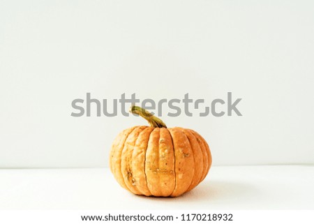 Pumpkin on white background. Fall autumn concept.