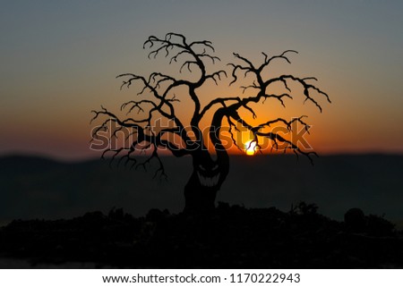 Silhouette of scary Halloween tree with horror face on orange sunset background . Scary horror tree with zombie and monster demon faces.