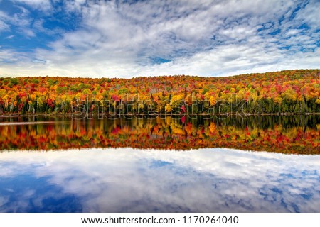 Fall lake reflection 