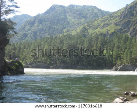 
The mountain river Chemal is surrounded by mountain ranges and coniferous forest, running swiftly under the blue sky to the confluence with the Katun River. The Republic of Gorny Altai. The picture w