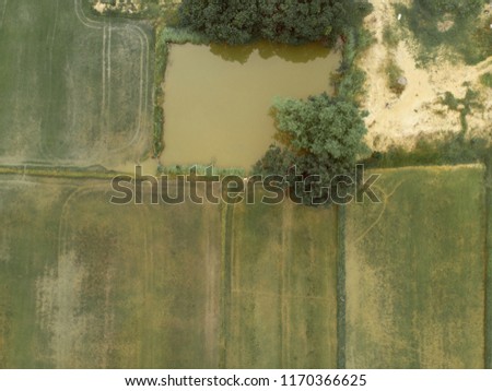 Arial view rice field at thailand. Space for your edit text.