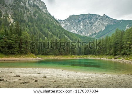 Grüner See (Green lake), Styria, Austria, Europe. HD wallpaper, 4k Green background
