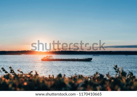 The ship sails the river at sunset. A ship between the bushes and the other shore.