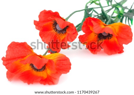 Red fabric poppies isolated on white background.