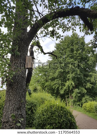 bird house on a Tree