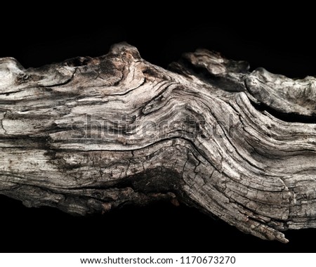 Driftwood/ aged wood over black background. Isolated piece of driftwood top view. Driftwood stick closeup, wood texture.Driftwood for aquarium. Royalty-Free Stock Photo #1170673270