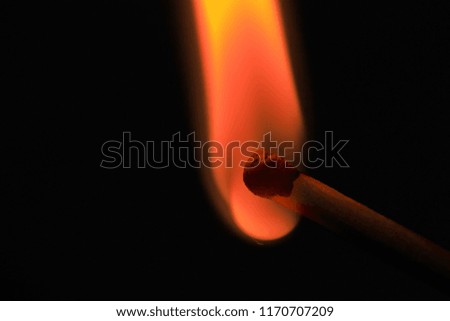 burning match in the dark / match fire on a black background close-up